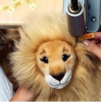 INFORMATIE OVER STEIFF