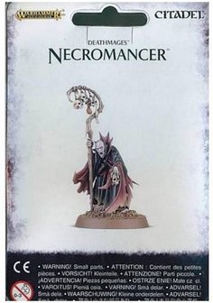Age of Sigmar Necromancer