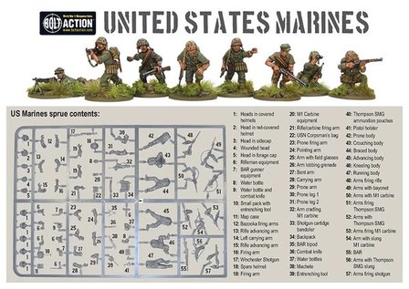 Bolt Action US Marines