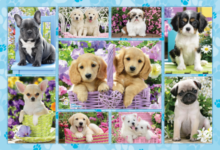 Schmidt Puzzel Puppies