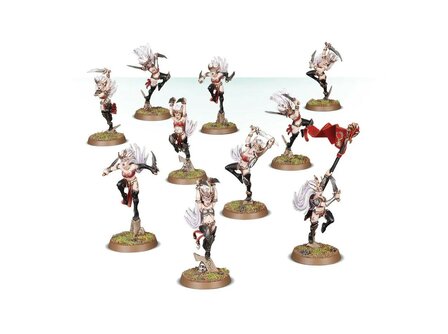 Warhammer Age of Sigmar Witch Aelves