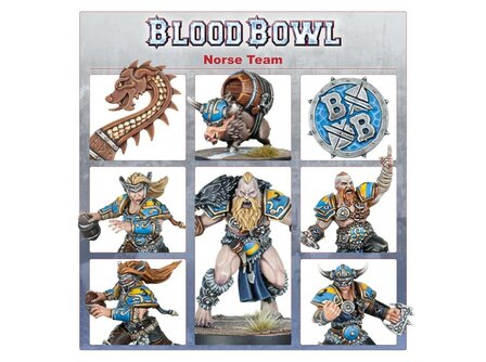 Warhammer Norse Blood Bowl Team: Norsca Rampagers