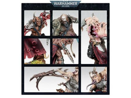 Warhammer 40,000 Chaos Space Marines:  Accursed Cultists