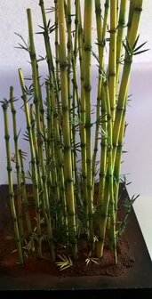 1/35 Bamboo Leaves 54-120 mm 7 gr.