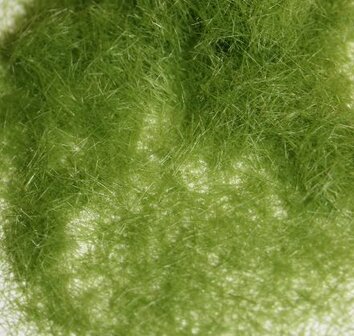 1/35 Light Green Grass Fibres 6 mm. 8 gr.