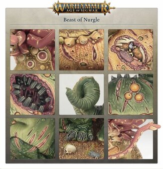 Warhammer Age of Sigmar Maggotkin of Nurgle Beast of Nurgle