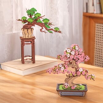 DIY Robotime Sakura Bonsai
