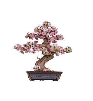 DIY Robotime Sakura Bonsai