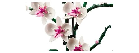 Lego Icons Botanical Orchidee