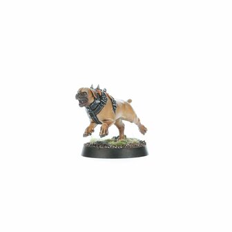 Warhammer Age of Sigmar Spearhead: Cities of Sigmar &ndash; Fusil-Platoon