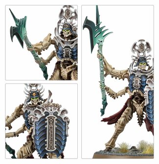 Warhammer Age of Sigmar Spearhead: Ossiarch Bonereapers &ndash; Mortisan Elite