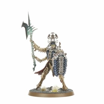 Warhammer Age of Sigmar Spearhead: Ossiarch Bonereapers &ndash; Mortisan Elite