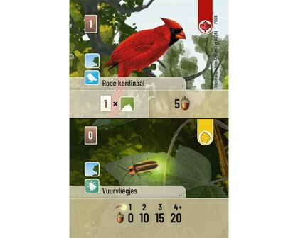 Forest Shuffle Exploration Uitbreiding