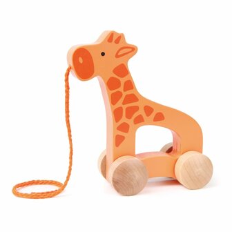 Hape Giraf