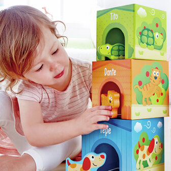 Hape Friendship Tower