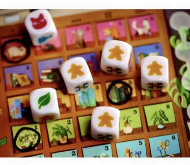 My Shelfie the dice game