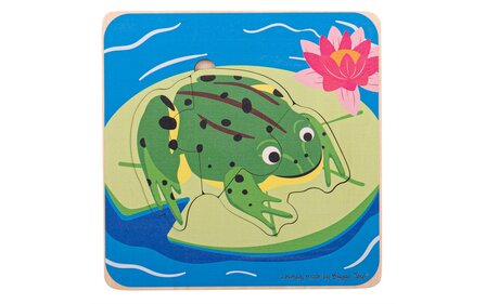 Bekeduc Lifecycle Layer Puzzle - Frog