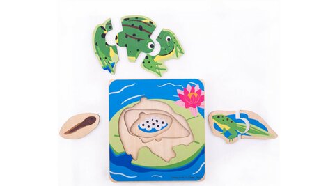 Bekeduc Lifecycle Layer Puzzle - Frog