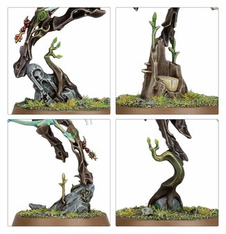 Warhamme Age of Sigmar Spearhead: Sylvaneth &ndash; Spitewing Flight