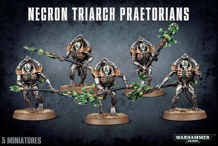 Necron Triarch Praetorians