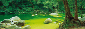 Schmidt Puzzel Mossman Gorge Queensland Australia