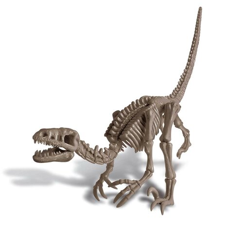 4M Graaf je Dino op - Velociraptor 