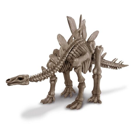 4M Graaf je Dino op - Stegosaurus 