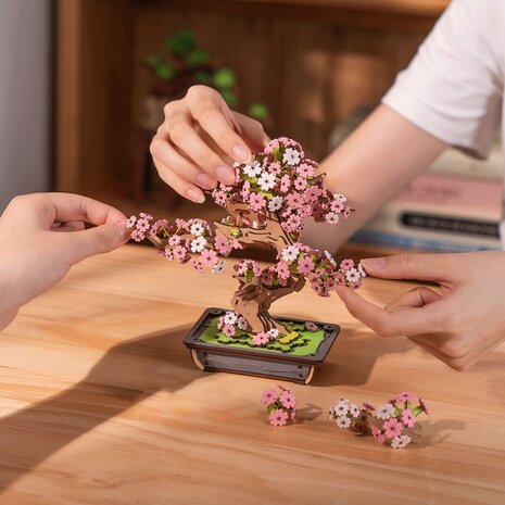 DIY Robotime Sakura Bonsai