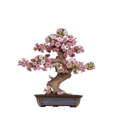 DIY Robotime Sakura Bonsai