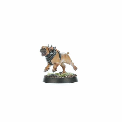 Warhammer Age of Sigmar Spearhead: Cities of Sigmar – Fusil-Platoon