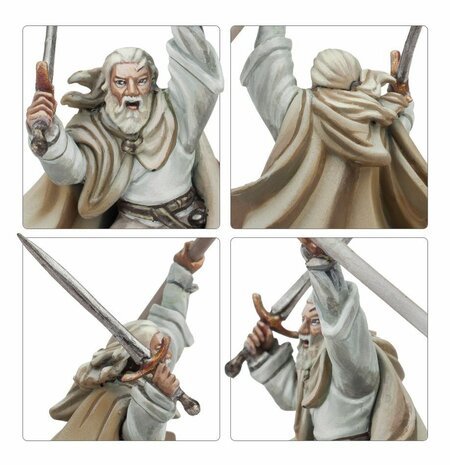 Lord of the Rings Gandalf™ the White and Peregrin Took™
