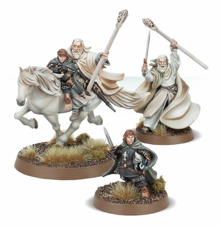 Lord of the Rings Gandalf™ the White and Peregrin Took™
