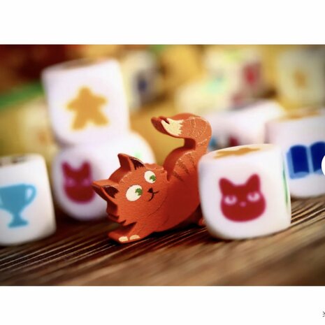 My Shelfie the dice game