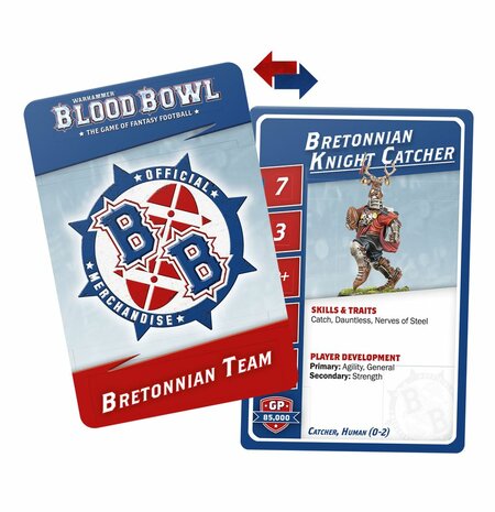 Warhammer Blood Bowl Bretonnian Team Reference Card Pack