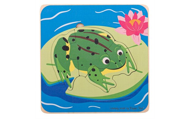 Bekeduc Lifecycle Layer Puzzle - Frog