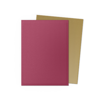 SLEEVES DS Matte Dual Pomegranate & Gold (100)