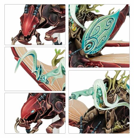 Warhamme Age of Sigmar Spearhead: Sylvaneth &ndash; Spitewing Flight