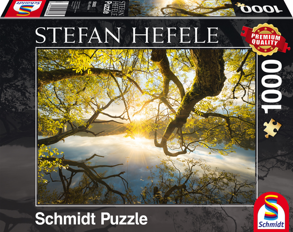 Schmidt Puzzel Omarming van Goud