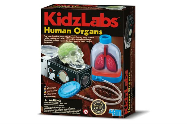 4M KidzLabs Human Science