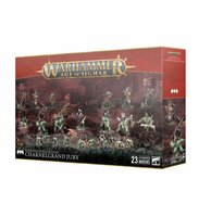Warhammer Age of Sigmar FLESH-EATER COURTS BATTLEFORCE: CHARNELGRAND JURY